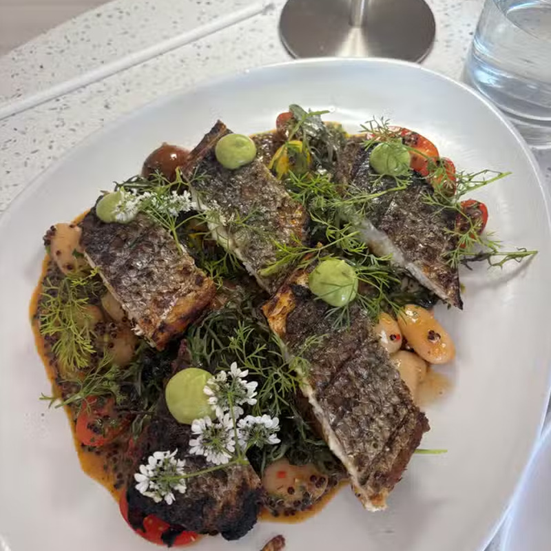 Menu plate study at Carne y Hueso North Park